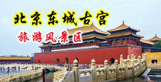 操骚逼视频免费观看国产好硬直播中国北京-东城古宫旅游风景区